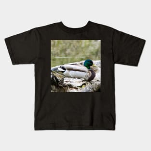 Mallard duck on a log Kids T-Shirt